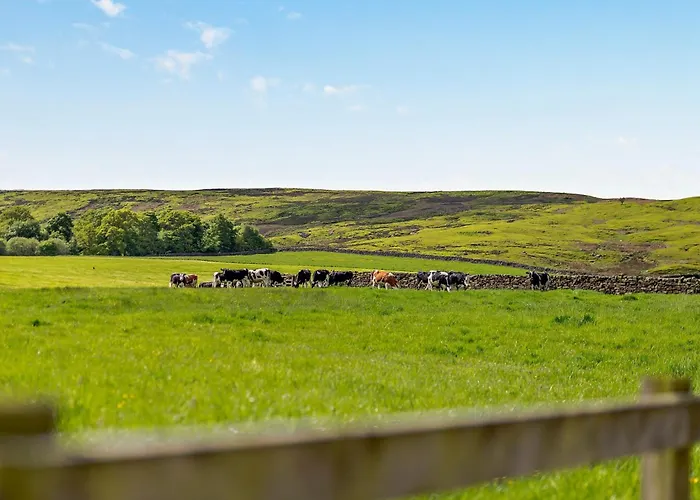 3 Bed In 92012 Westerdale