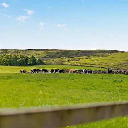 Casa vacanze 3 Bed In Whitby Oc-92012