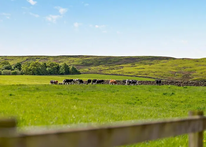 Casa vacanze 3 Bed In Whitby Oc-92012