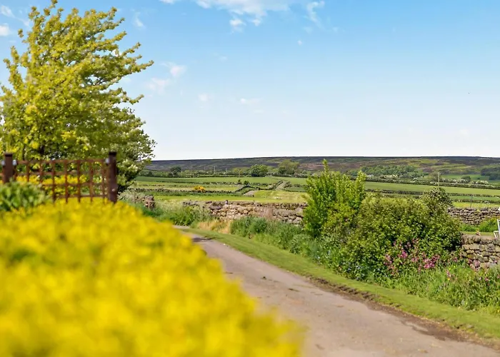 Casa vacanze 3 Bed In Whitby Oc-92012